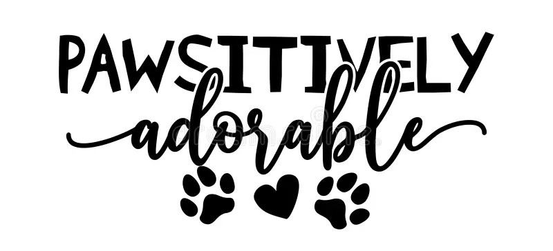 Pawsitivity - Pet Care Platform